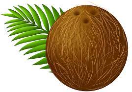 Coconutifier