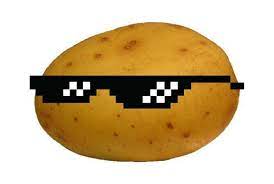 potatocoder99