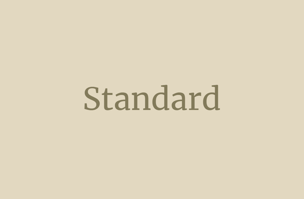 made with replit -- standard type