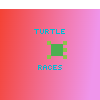 Turtle Racing ( READ DISC FOR TURTLE COLOURS! )