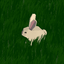 Sad-Bunny